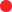 Feedback