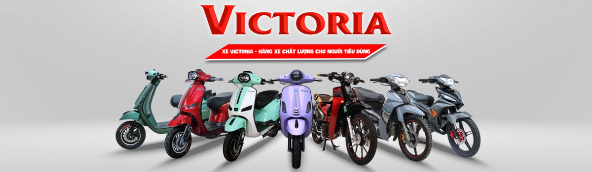 Xe 50cc